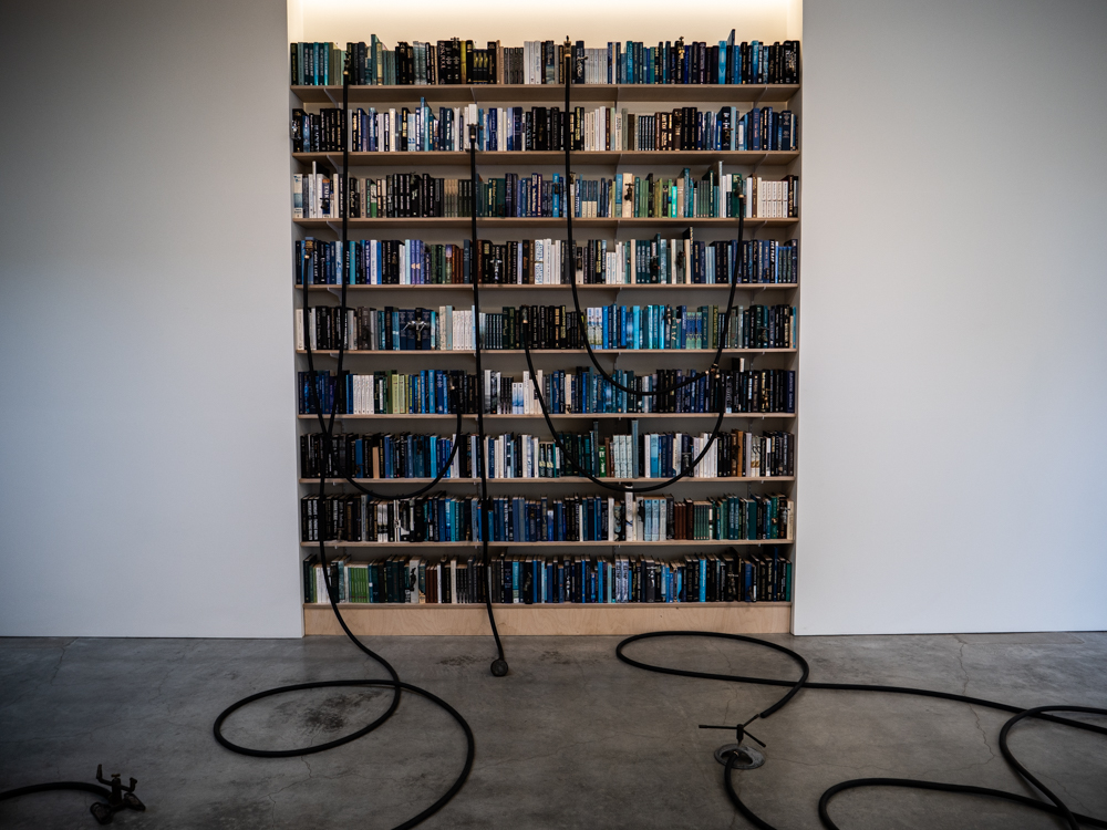 Descansco Gardens 30